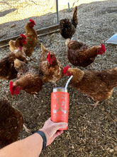 Load image into Gallery viewer, My Chickens &amp; I Talk Shit About You Tumbler
